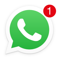 boton icono whatsapp